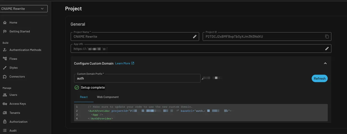 Descope configure custom domain cname within Descope project